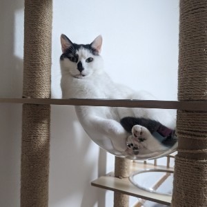 ともじゅんママ