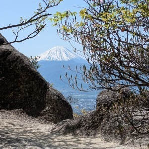 カンペイチャン