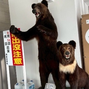 ティートンブロス