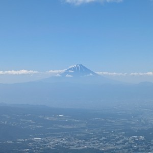 yaeko