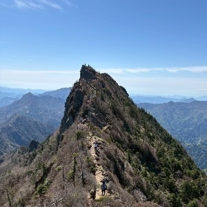 てるる