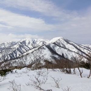 ナイク
