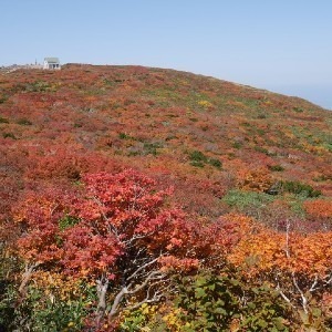 masaki