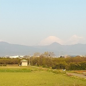 カント