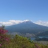 まめた